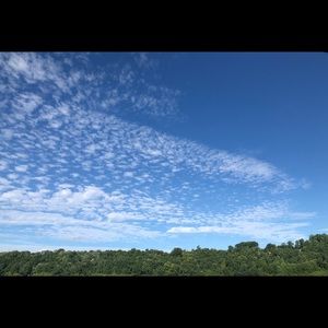 Meet your Posher, Nino